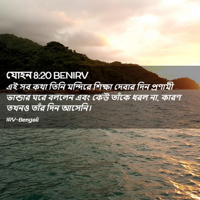 Picture 02 - যোহন 8:20 BENIRV - এই সব কথা তিনি - Bible Verse Picture