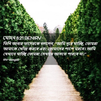 Picture 02 - যোহন 8:21 BENIRV - তিনি আবার তাদেরকে - Bible Verse Picture