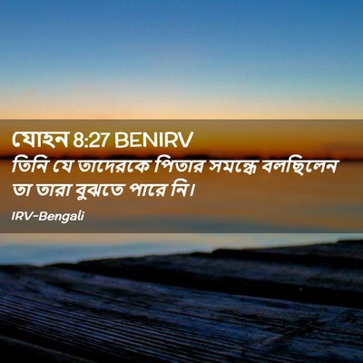 Picture 02 - যোহন 8:27 BENIRV - তিনি যে তাদেরকে - Bible Verse Picture
