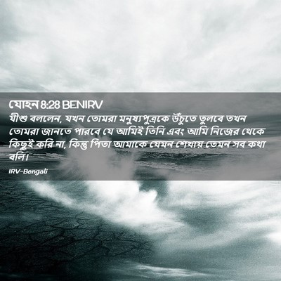 Picture 02 - যোহন 8:28 BENIRV - যীশু বললেন, যখন - Bible Verse Picture