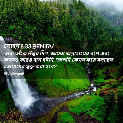 Picture 02 - যোহন 8:33 BENIRV - তারা তাঁকে উত্তর - Bible Verse Picture