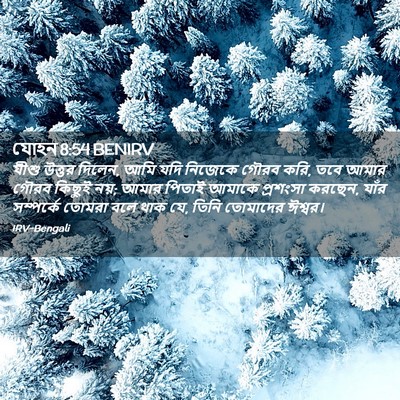 Picture 02 - যোহন 8:54 BENIRV - যীশু উত্তর দিলেন, - Bible Verse Picture