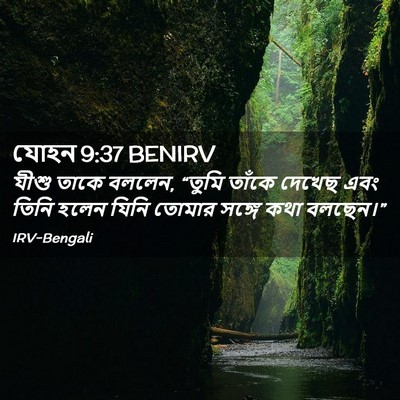 Picture 02 - যোহন 9:37 BENIRV - যীশু তাকে বললেন, - Bible Verse Picture
