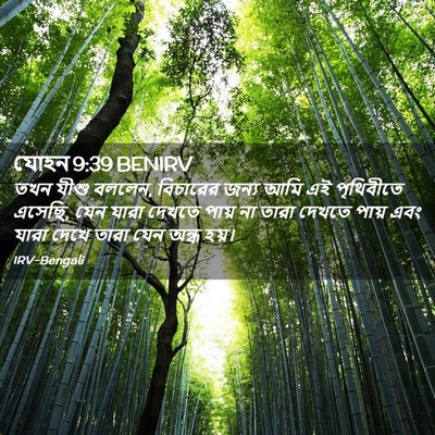 Picture 02 - যোহন 9:39 BENIRV - তখন যীশু বললেন, - Bible Verse Picture