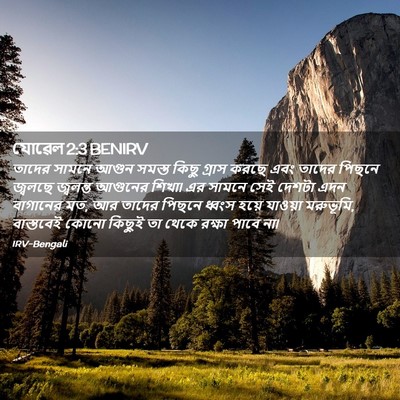 Picture 02 - যোৱেল 2:3 BENIRV - তাদের সামনে আগুন - Bible Verse Picture