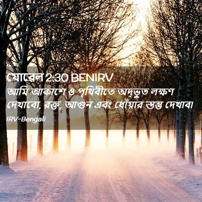 Picture 02 - যোৱেল 2:30 BENIRV - আমি আকাশে ও - Bible Verse Picture
