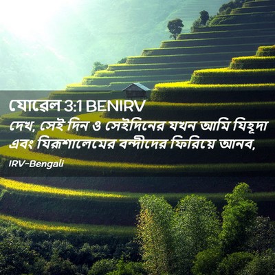 Picture 02 - যোৱেল 3:1 BENIRV - দেখ, সেই দিন ও - Bible Verse Picture