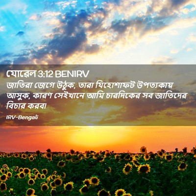 Picture 02 - যোৱেল 3:12 BENIRV - জাতিরা জেগে উঠুক, - Bible Verse Picture