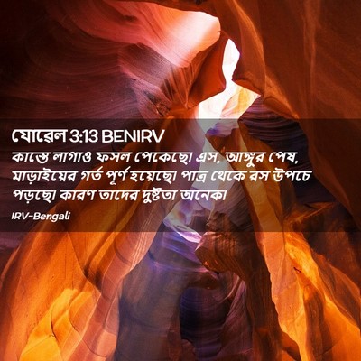 Picture 02 - যোৱেল 3:13 BENIRV - কাস্তে লাগাও ফসল - Bible Verse Picture