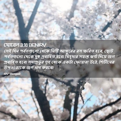 Picture 02 - যোৱেল 3:18 BENIRV - সেই দিন পর্বতগুলো - Bible Verse Picture