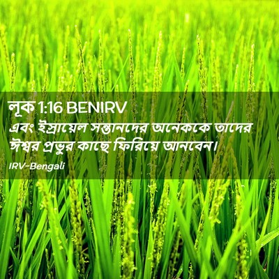 Picture 02 - লূক 1:16 BENIRV - এবং ইস্রায়েল - Bible Verse Picture
