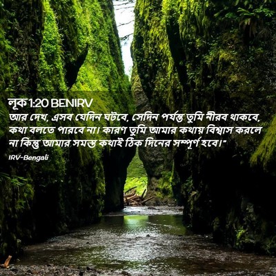 Picture 02 - লূক 1:20 BENIRV - আর দেখ, এসব যেদিন - Bible Verse Picture