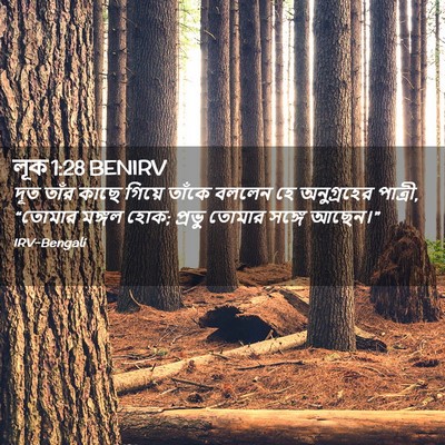Picture 02 - লূক 1:28 BENIRV - দূত তাঁর কাছে - Bible Verse Picture
