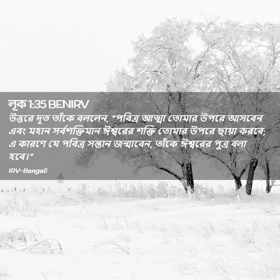 Picture 02 - লূক 1:35 BENIRV - উত্তরে দূত তাঁকে - Bible Verse Picture