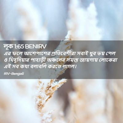 Picture 02 - লূক 1:65 BENIRV - এর ফলে আশেপাশের - Bible Verse Picture