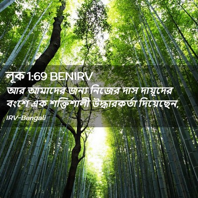 Picture 02 - লূক 1:69 BENIRV - আর আমাদের জন্য - Bible Verse Picture