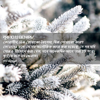 Picture 02 - লূক 10:13 BENIRV - কোরাসীন, ধিক - Bible Verse Picture