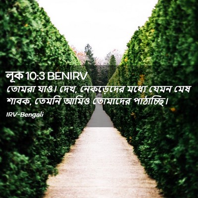 Picture 02 - লূক 10:3 BENIRV - তোমরা যাও। দেখ, - Bible Verse Picture