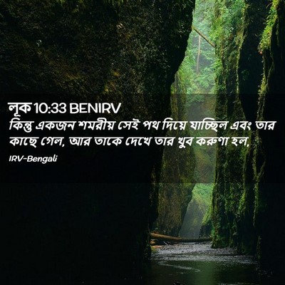 Picture 02 - লূক 10:33 BENIRV - কিন্তু একজন - Bible Verse Picture