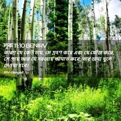 Picture 02 - লূক 11:10 BENIRV - কারণ যে কেউ চায়, - Bible Verse Picture