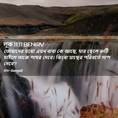Picture 02 - লূক 11:11 BENIRV - তোমাদের মধ্যে এমন - Bible Verse Picture