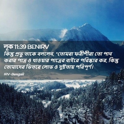 Picture 02 - লূক 11:39 BENIRV - কিন্তু প্রভু তাকে - Bible Verse Picture