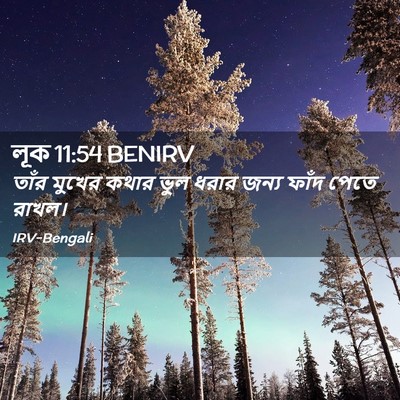 Picture 02 - লূক 11:54 BENIRV - তাঁর মুখের কথার - Bible Verse Picture