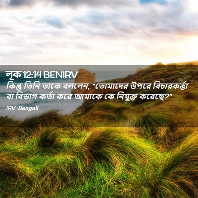 Picture 02 - লূক 12:14 BENIRV - কিন্তু তিনি তাকে - Bible Verse Picture