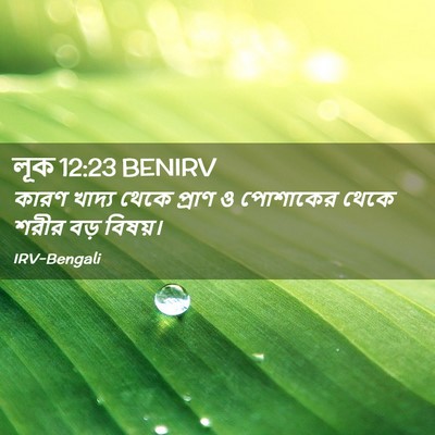 Picture 02 - লূক 12:23 BENIRV - কারণ খাদ্য থেকে - Bible Verse Picture