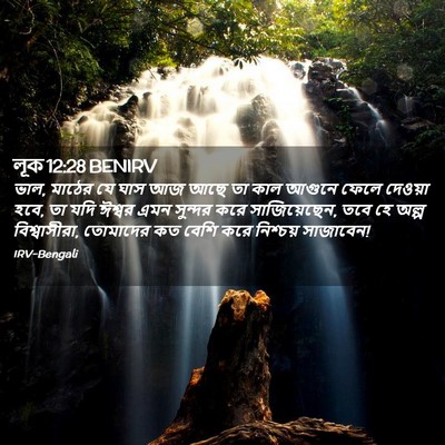 Picture 02 - লূক 12:28 BENIRV - ভাল, মাঠের যে ঘাস - Bible Verse Picture