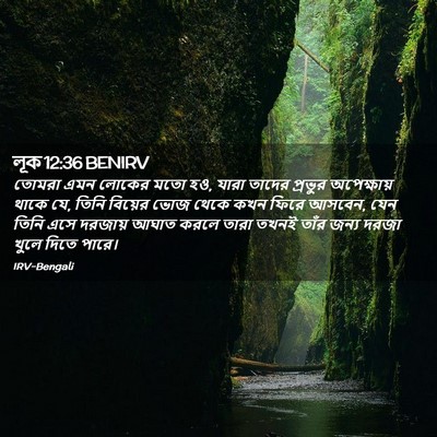 Picture 02 - লূক 12:36 BENIRV - তোমরা এমন লোকের - Bible Verse Picture