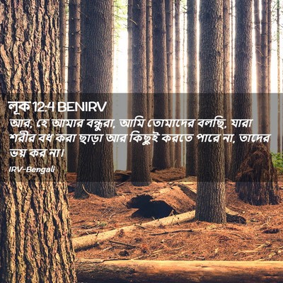 Picture 02 - লূক 12:4 BENIRV - আর, হে আমার - Bible Verse Picture