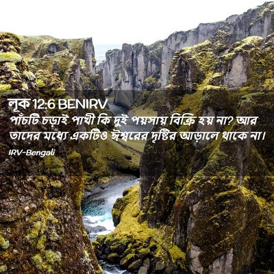 Picture 02 - লূক 12:6 BENIRV - পাঁচটি চড়াই পাখী - Bible Verse Picture