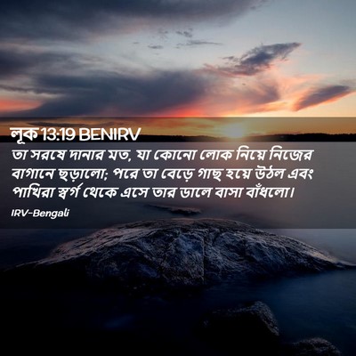 Picture 02 - লূক 13:19 BENIRV - তা সরষে দানার মত, - Bible Verse Picture
