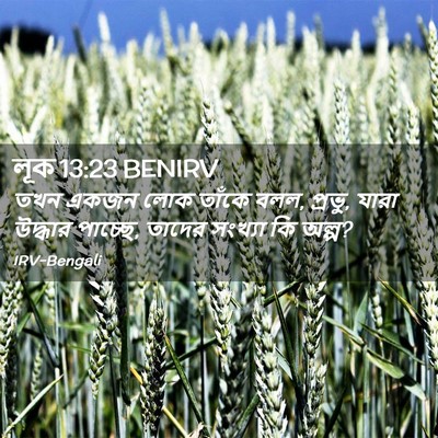 Picture 02 - লূক 13:23 BENIRV - তখন একজন লোক তাঁকে - Bible Verse Picture