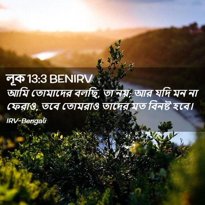 Picture 02 - লূক 13:3 BENIRV - আমি তোমাদের বলছি, - Bible Verse Picture