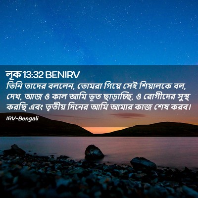 Picture 02 - লূক 13:32 BENIRV - তিনি তাদের বললেন, - Bible Verse Picture