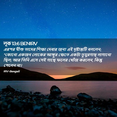 Picture 02 - লূক 13:6 BENIRV - এরপর যীশু তাদের - Bible Verse Picture