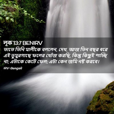Picture 02 - লূক 13:7 BENIRV - তাতে তিনি মালীকে - Bible Verse Picture