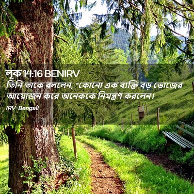 Picture 02 - লূক 14:16 BENIRV - তিনি তাকে বললেন, - Bible Verse Picture