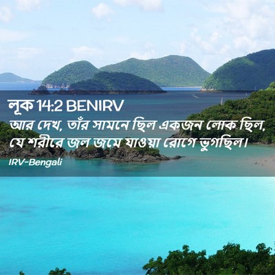 Picture 02 - লূক 14:2 BENIRV - আর দেখ, তাঁর সামনে - Bible Verse Picture