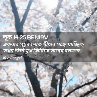 Picture 02 - লূক 14:25 BENIRV - একবার প্রচুর লোক - Bible Verse Picture