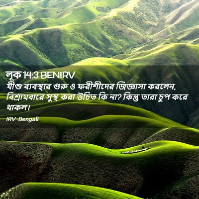 Picture 02 - লূক 14:3 BENIRV - যীশু ব্যবস্থার - Bible Verse Picture