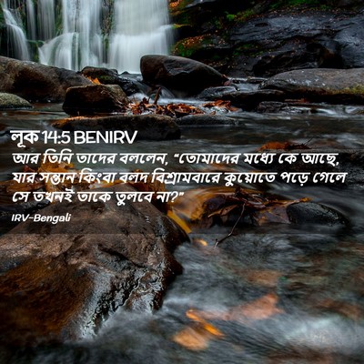 Picture 02 - লূক 14:5 BENIRV - আর তিনি তাদের - Bible Verse Picture