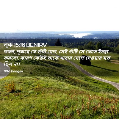 Picture 02 - লূক 15:16 BENIRV - তখন, শূকরে যে শুঁটি - Bible Verse Picture