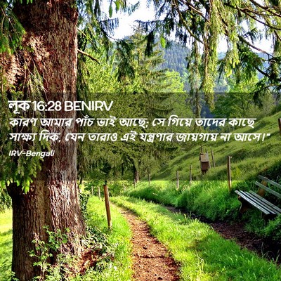 Picture 02 - লূক 16:28 BENIRV - কারণ আমার পাঁচ ভাই - Bible Verse Picture