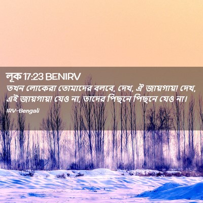 Picture 02 - লূক 17:23 BENIRV - তখন লোকেরা - Bible Verse Picture