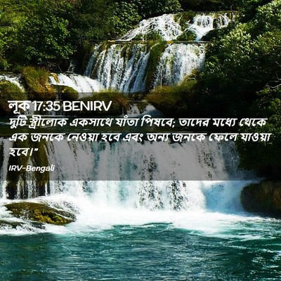 Picture 02 - লূক 17:35 BENIRV - দুটি স্ত্রীলোক - Bible Verse Picture