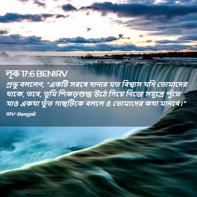 Picture 02 - লূক 17:6 BENIRV - প্রভু বললেন, “একটি - Bible Verse Picture