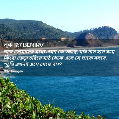 Picture 02 - লূক 17:7 BENIRV - আর তোমাদের মধ্যে - Bible Verse Picture
